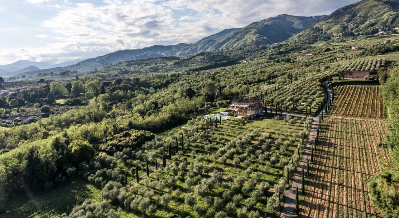 Accogliente Alloggio Con Vista E Piscina Lucca Exteriör bild